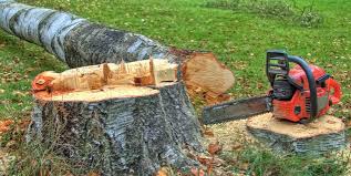 Best Tree Trimming and Pruning  in Emmett, ID