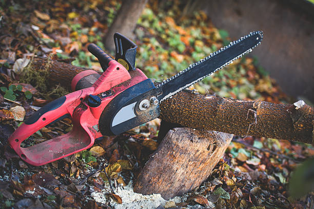 Lawn Pest Prevention in Emmett, ID